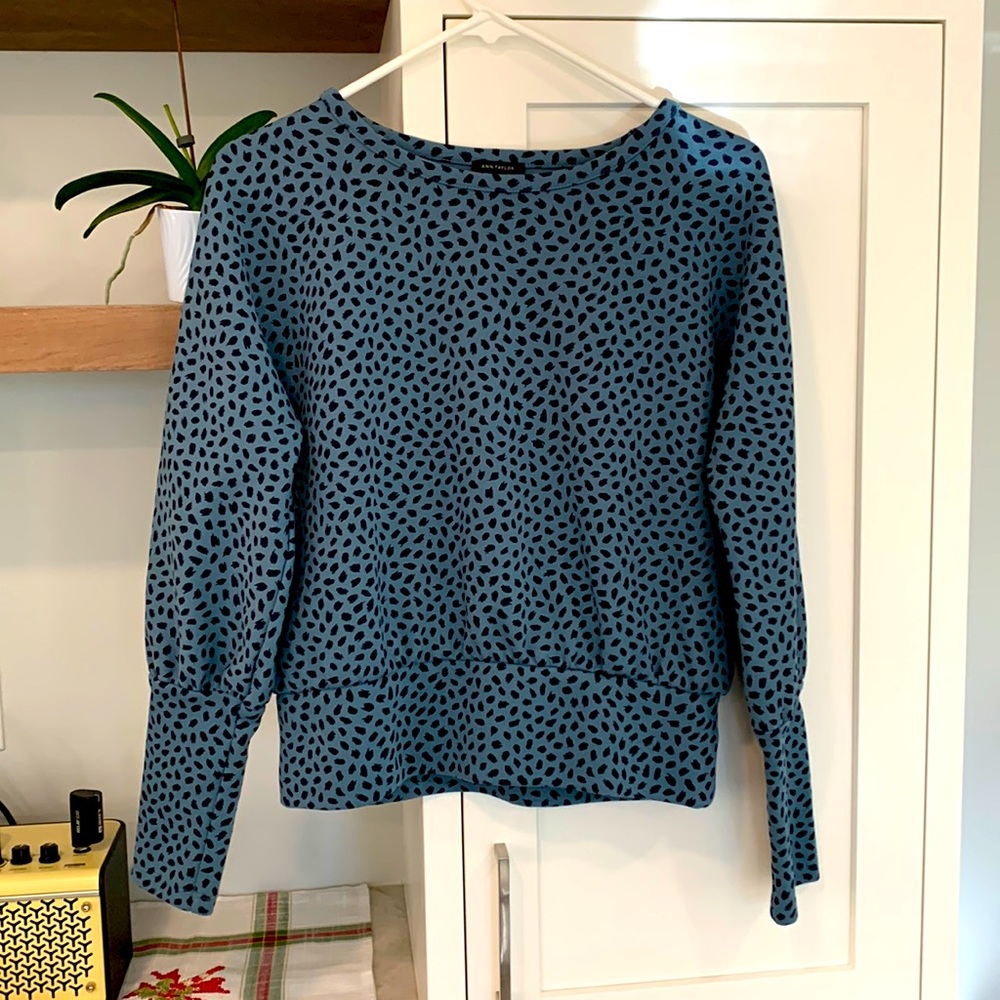 Ann Taylor Blue Womens Top with Black Dots